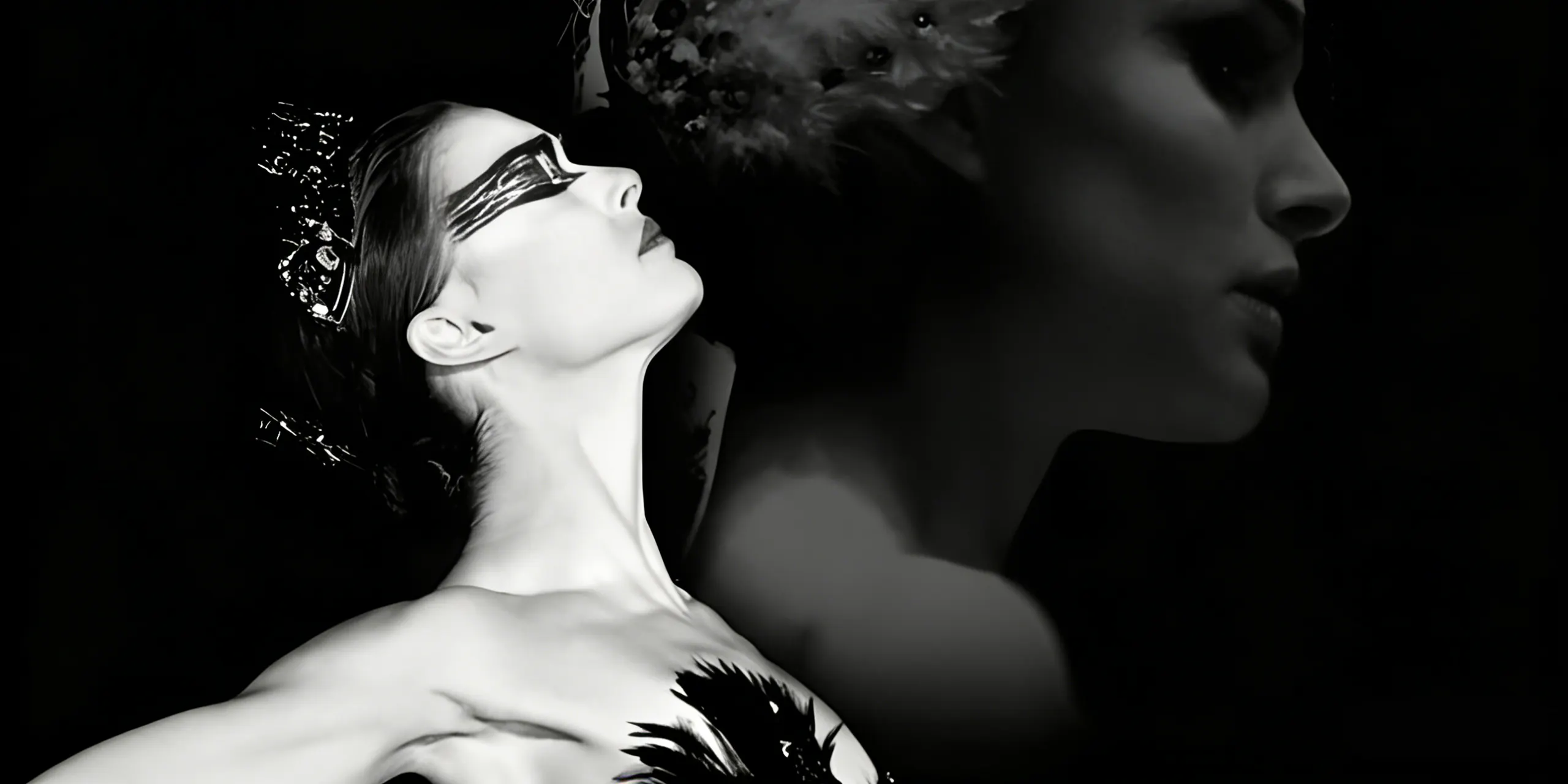 Premiere Dame contact page hero image one.